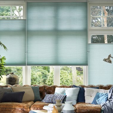 Duette blinds